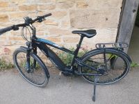 CONWAY Cairon T300 E-Bike BOSCH Performance CX Stuttgart - Plieningen Vorschau