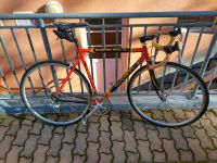 Fausto Coppi Rennrad Stahlrahmen RH 52 Dresden - Leuben Vorschau