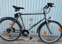 Wheeler 3800 Fahrrad Mountainbike Retro Hessen - Bad König Vorschau