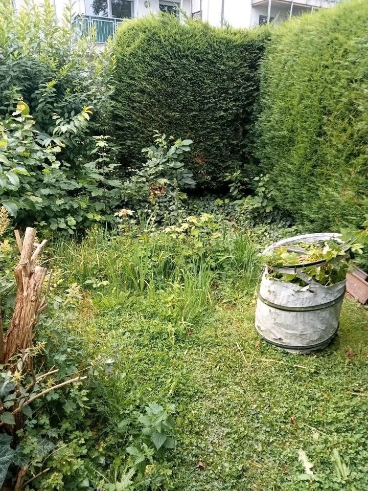 Biete Hilfe bei der Gartenarbeit in Detmold