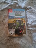 Nintendo Switch Spiel Rheinland-Pfalz - Rittersdorf Vorschau