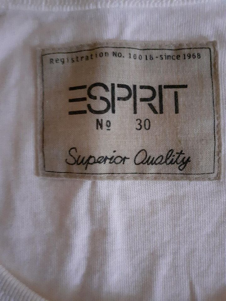 Herren T- Shirt ESPRIT NEU Größe L in Nürnberg (Mittelfr)