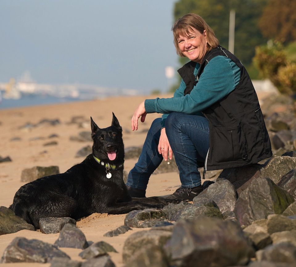 Mobile Hundeschule/ Hundetrainer-in, individuellesTraining in Bönningstedt