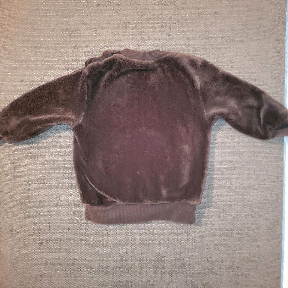 Pullover Größe 74/80 von Lupilu in Willebadessen