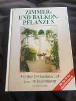 Zimmer- und Balkonpflanzen Ratgeber Nachschlagewerk Kräutergarten Sachsen - Chemnitz Vorschau