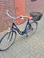 Damen Fahrrad Dublin Patria Niedersachsen - Oldenburg Vorschau