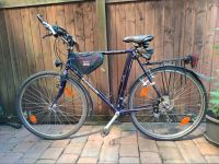 Trekking Sport Fahrrad Panasonic South Street ll 28" 56RH leicht Nordrhein-Westfalen - Bottrop Vorschau