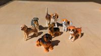 Hunde, kompatibel mit Schleich Schleswig-Holstein - Erfde Vorschau