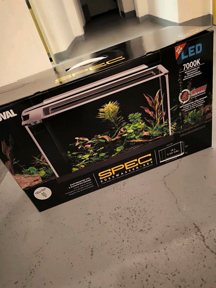 Fluval Spec 5 Nano Aquarium 19l Fische Garnelen Aquaristik in Neuenrade