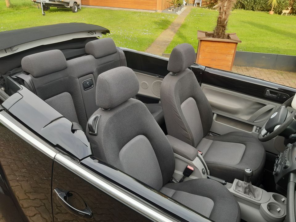 VW New Beetle Cabrio 1.6 102 PS Klima tiefer super Zustand!! in Bad Bramstedt
