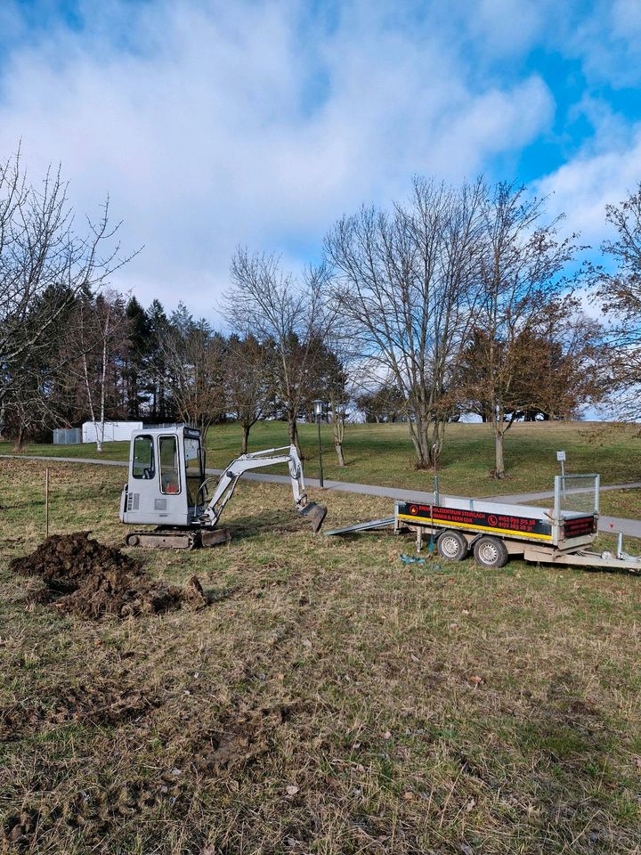 Landschaftspflege Mäharbeiten Mähen mulchen Wiese Grundstück in Mössingen