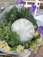 Beton Platte mandala Blume Ornament Scheibe Sonne Garten Kreis Pinneberg - Elmshorn Vorschau