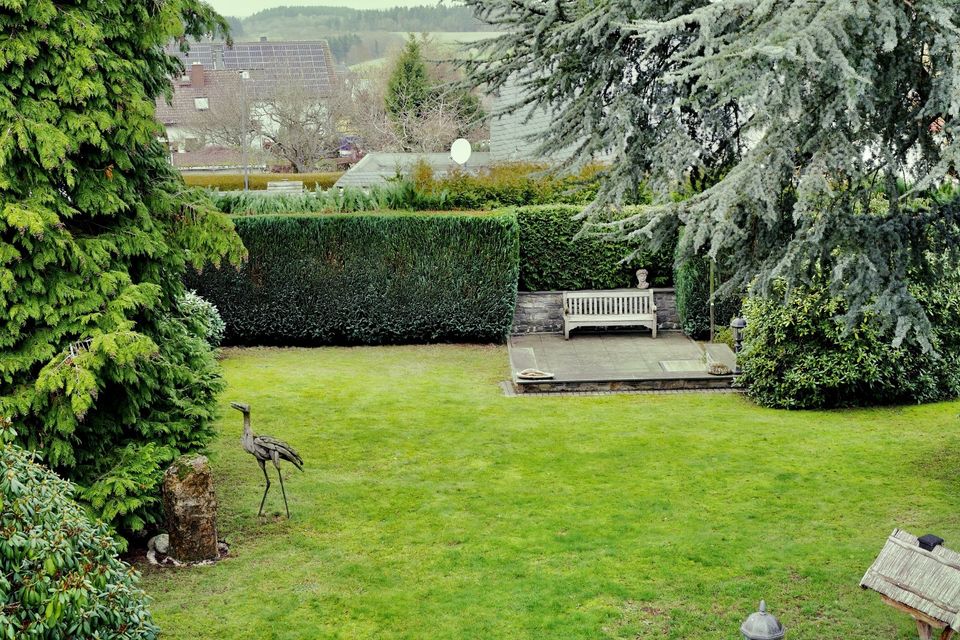 Dailygartenpflege.de ( kurzfristige Termine Möglich ) in Heusenstamm