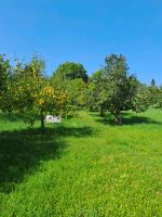 Obstbaumwiese Esslingen Baden-Württemberg - Baiersbronn Vorschau