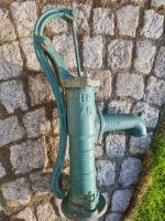 Pumpe/Gartenpumpe Sachsen-Anhalt - Erxleben (bei Haldensleben) Vorschau