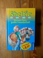 Sheltie - kleines Pony, große Freundschaft Bochum - Bochum-Süd Vorschau