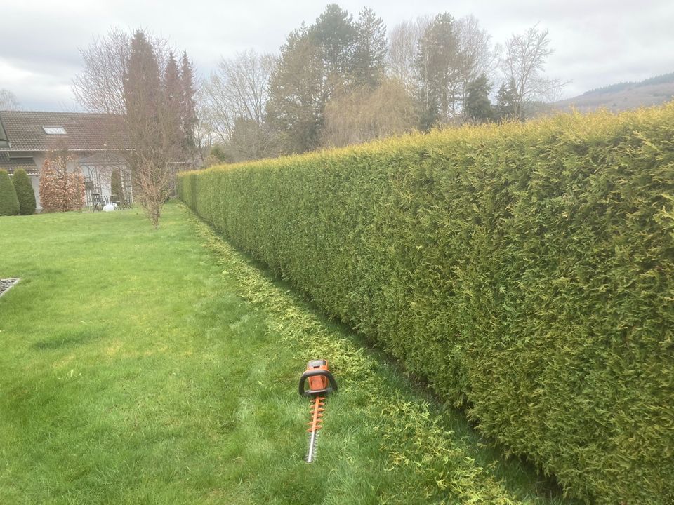 Gartenpflege - Strauch und Heckenpflege - Rasenmähen - u. v. m. in Biedenkopf