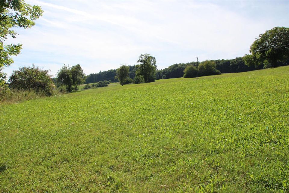 PREISREDUZIERUNG Naturliebhaber aufgepasst..... Ehemalige Hofstelle mit über 60.000 qm Land in Stockach