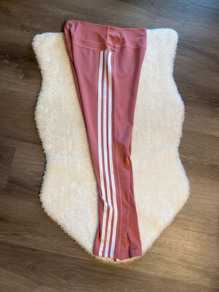 Adidas Legging in Rostock