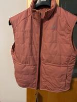 NEU Etikett Nike Weste Damen S Lachs Womens Feme Rosé Leipzig - Gohlis-Nord Vorschau