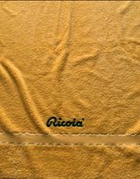 RICOLA STRANDTUCH HANDTUCH 65*161cm SOMMER URLAUB  BADETUCH Nordrhein-Westfalen - Frechen Vorschau