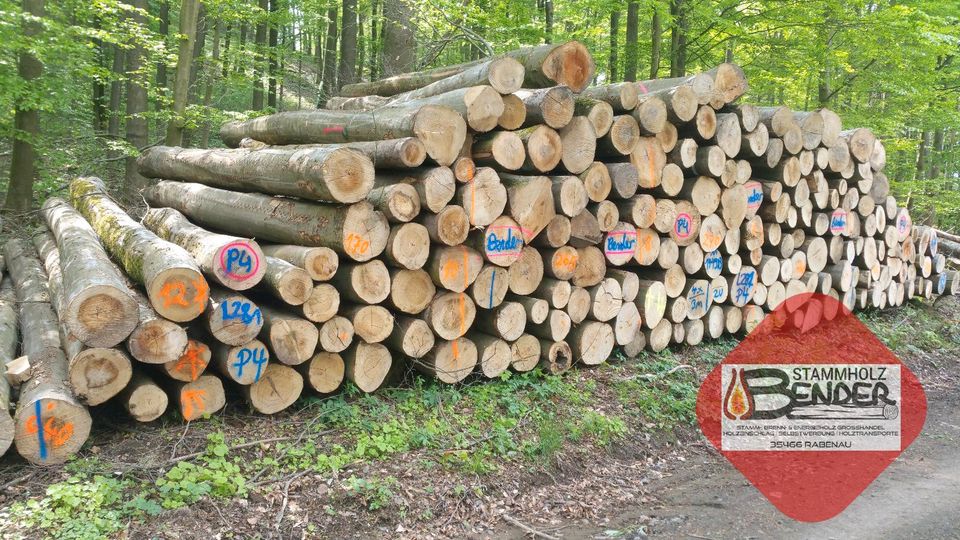 Preisknaller● halbtrockenes Esche Brennholz /wie Buche Kaminholz in Marburg