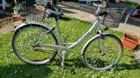 1 Fahrrad Conway Aluminium Rheinland-Pfalz - Brohl-Lützing Vorschau