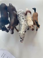 5 schleich Pferde Niedersachsen - Samern Vorschau