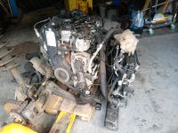 Motor Ford Peugeot Citroen 2.0 CDTI T7CE 110 kW 125 000 km Schleswig-Holstein - Horst (Holstein) Vorschau