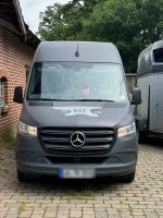 Mercedes Benz Sprinter 319 v6 Kasten Münster (Westfalen) - Roxel Vorschau