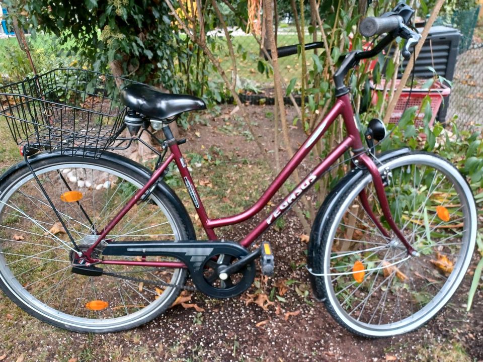 Damen Fahrrad in Aschheim
