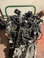 Hyundai i30 n Motor Engine G4 KH 275PS 12Tkm. Mecklenburg-Vorpommern - Seebad Ahlbeck Vorschau