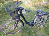 Telefunken Multitalent E-Bike RC 860 Neuwertig Sachsen - Trebsen Vorschau