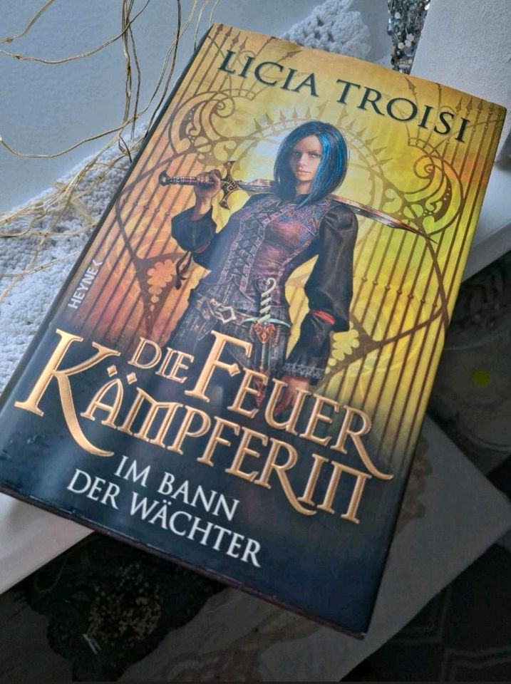 Fantasy Buch Die Feuer Kämpferin Teil 1 in Elzach