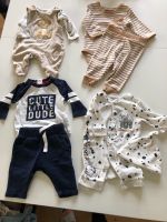 Baby Junge Paket 50-62 (über 60 Teile) Leipzig - Meusdorf Vorschau