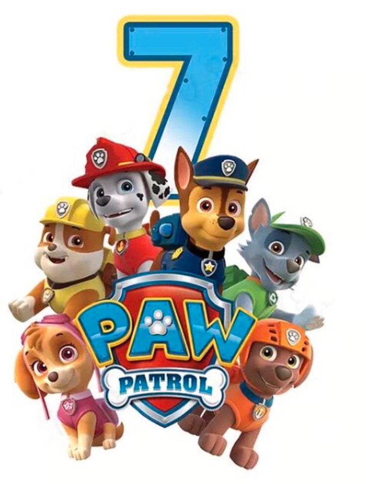 Paw Patrol Geburtstag T-Shirt Zahlen Bügelbild 1 2 3 4 5 6 7 8 in Scheden