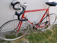 Rennrad Motobecane Hessen - Buseck Vorschau