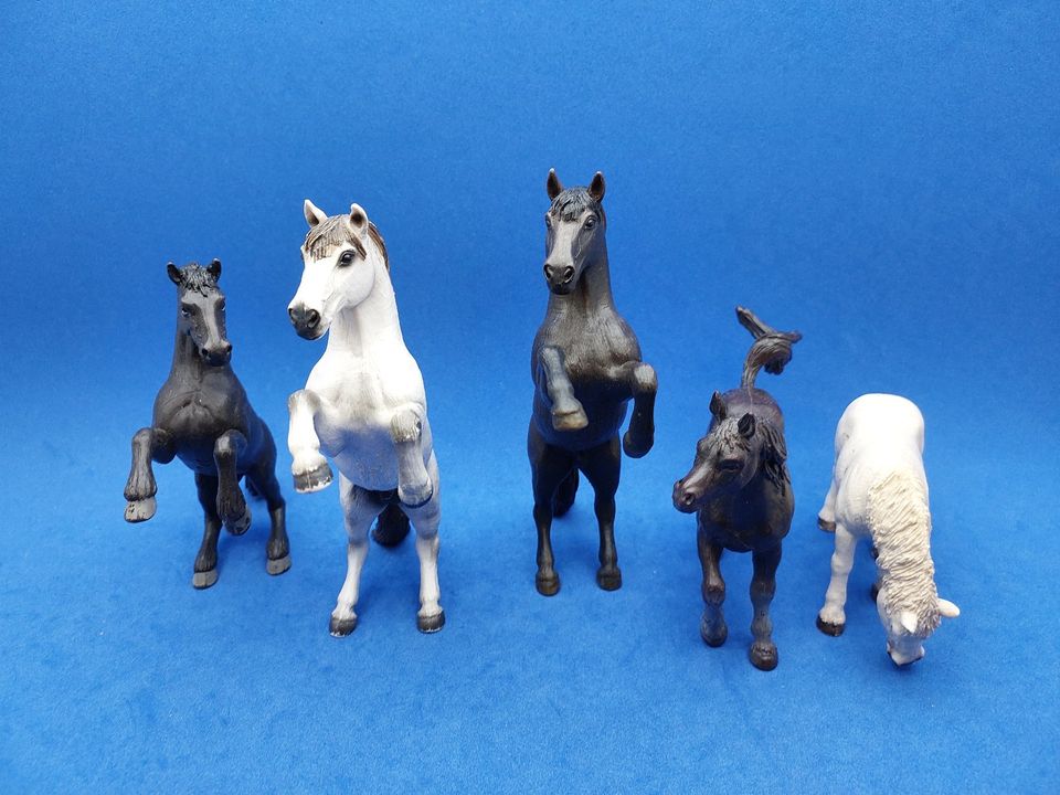 Schleich Pferde Raritäten Fjordpferd Shire Schwarzwälder Reitpony in Aalen