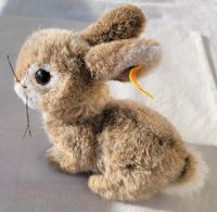 STEIFF Hase Dormy 2974/16 Rarität Berlin - Hohenschönhausen Vorschau