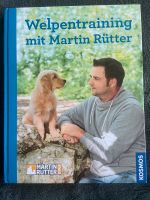 Welpentraining mit Martin Rütter Nordrhein-Westfalen - Raesfeld Vorschau