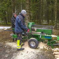 Brennholzspalter Holz>34cm Elektrospakter Holzdräscher 2,2kW Berlin - Wilmersdorf Vorschau