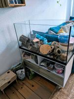 Terrarium Aquarium für Hamster mit Unterschrank und Zubehör Berlin - Spandau Vorschau