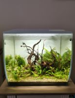 Fluval Flex  57L / 34L Aquarium Abdeckung / Futterdeckel Rheinland-Pfalz - Eich Vorschau