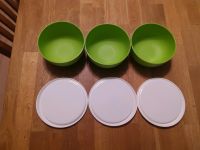 Tupperware,Dose,Eidgenossen,Gewürzzwerge,Gewürzriesen,usw Niedersachsen - Dornum Vorschau