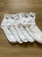 Puma Herrensocken Sachsen-Anhalt - Haldensleben Vorschau