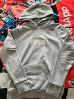 Puma Hoodie 38 Sachsen - Schkeuditz Vorschau