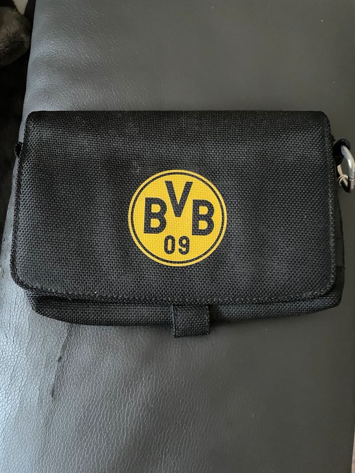 Nintendo  Schutztasche in Dortmund