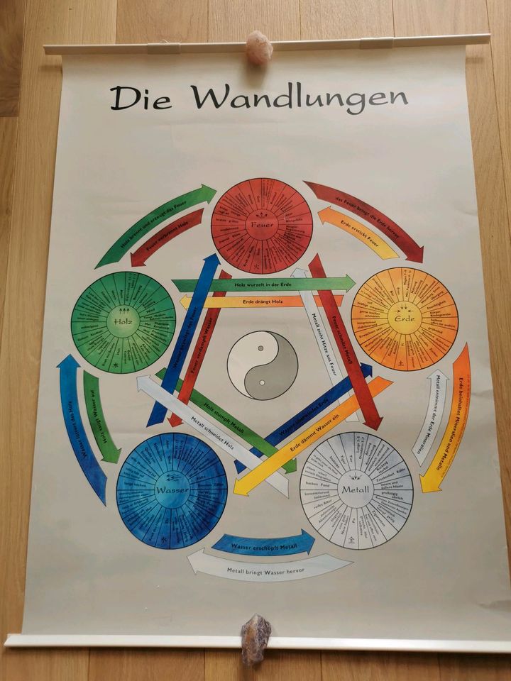 Poster Wandlungsphasen TCM in Wilhelmshorst