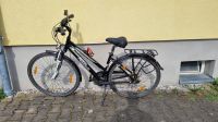 Pegasus Piazza 28" Fahrrad Sachsen - Frohburg Vorschau