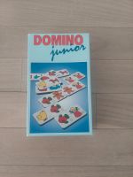 Domino junior Baden-Württemberg - Michelfeld Vorschau